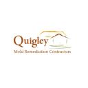 Quigley Attic Mold Remediation Contractors logo